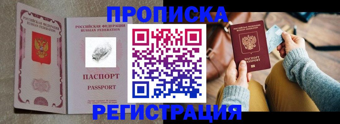 прописка поиск в Новгородской области
